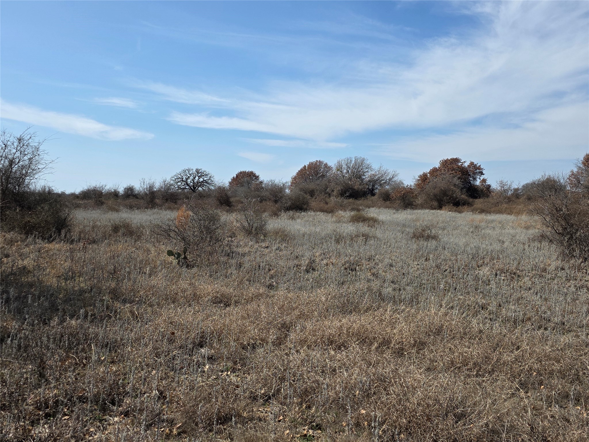 1000 County Road 375 Rising Star TX 76471