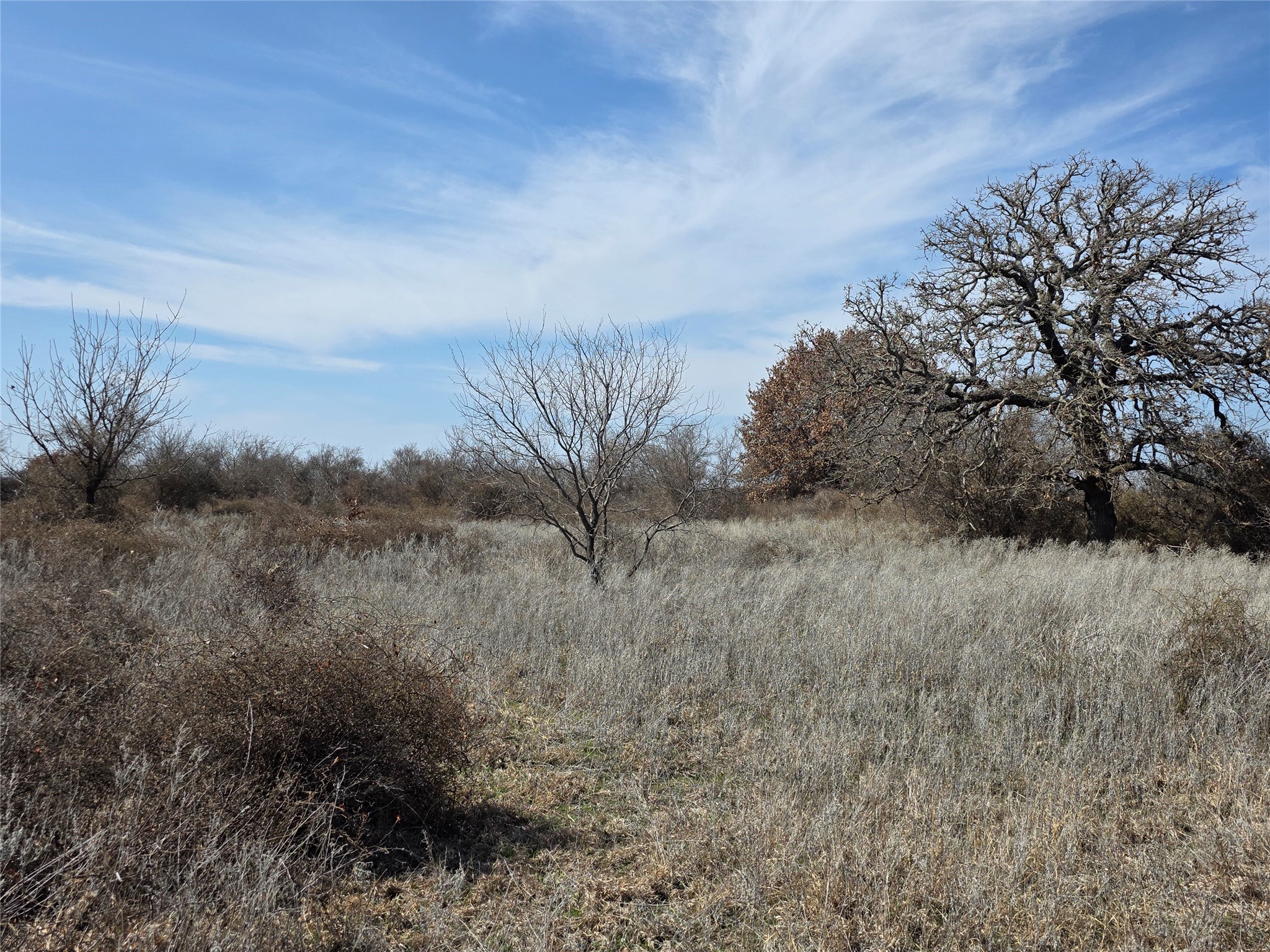 1000 County Road 375 Rising Star TX 76471