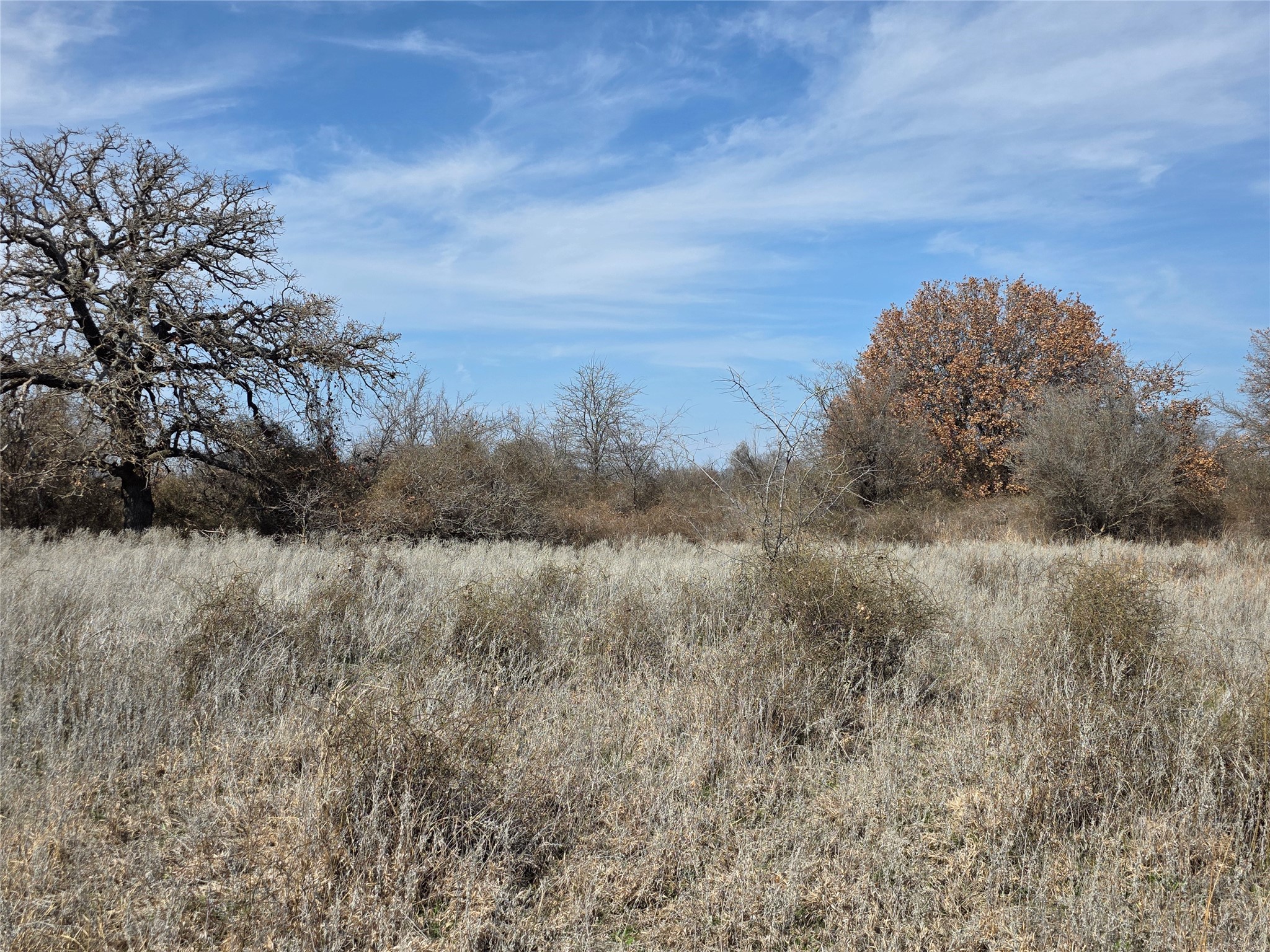 1000 County Road 375 Rising Star TX 76471