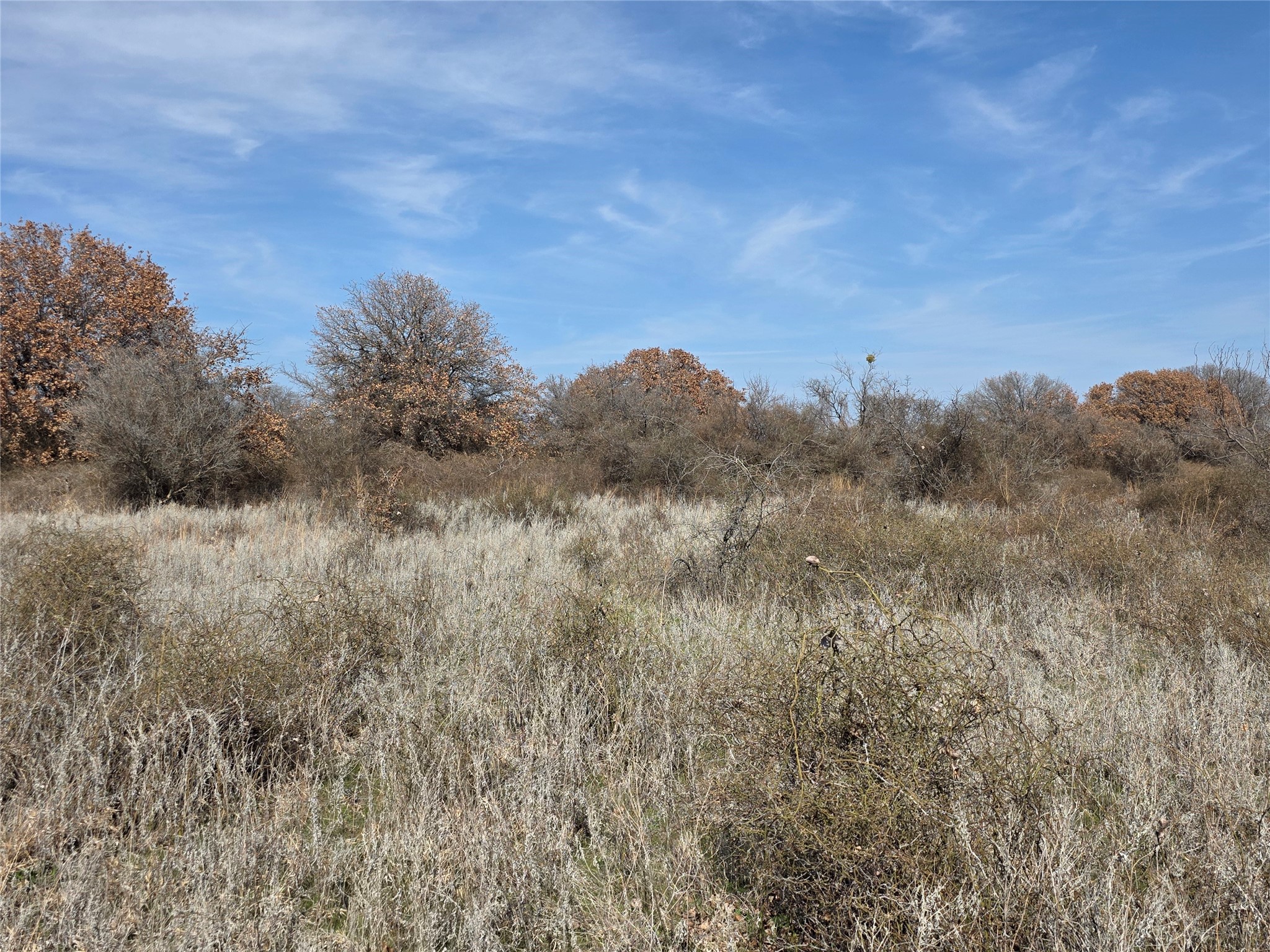1000 County Road 375 Rising Star TX 76471