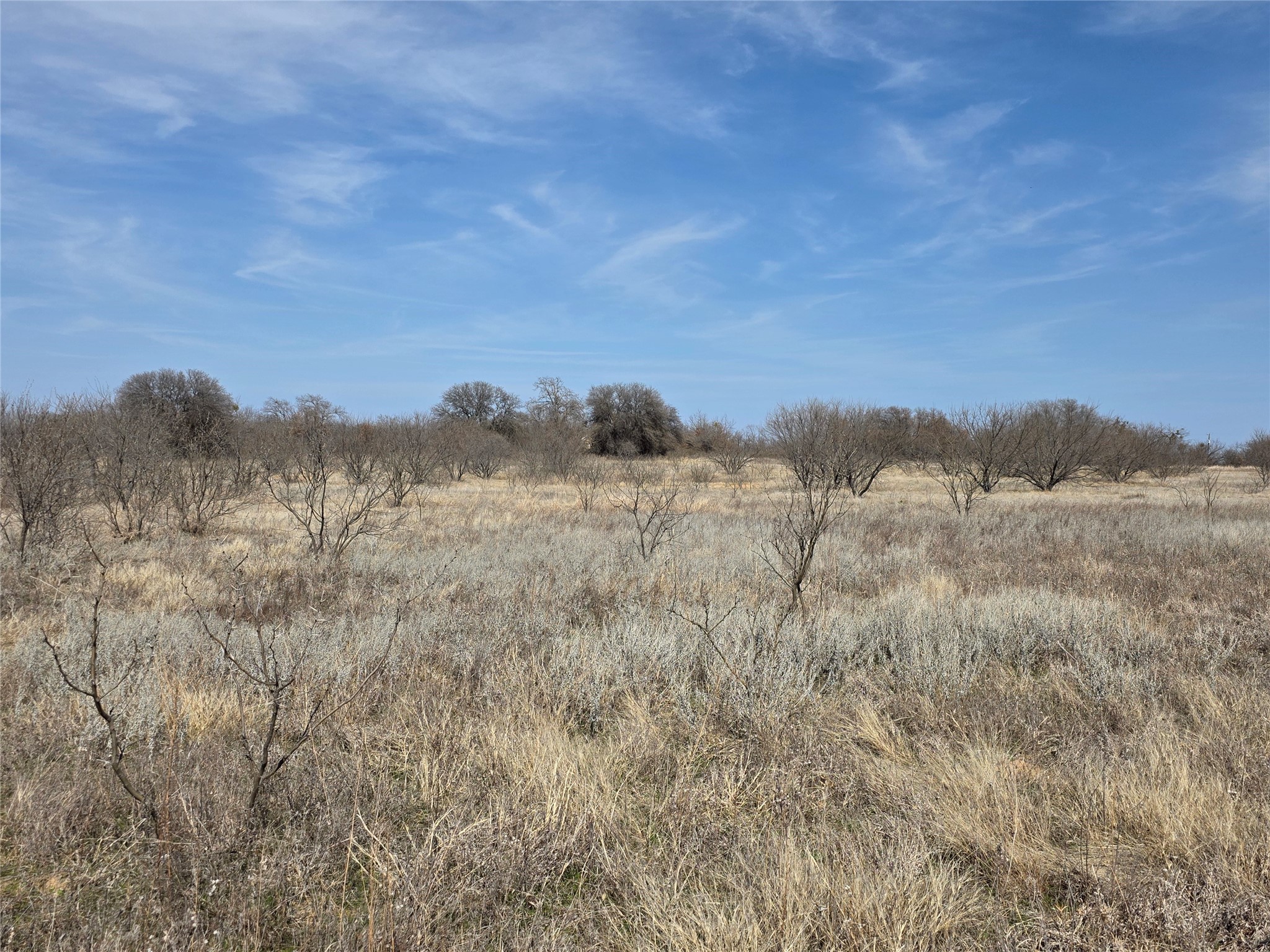1000 County Road 375 Rising Star TX 76471