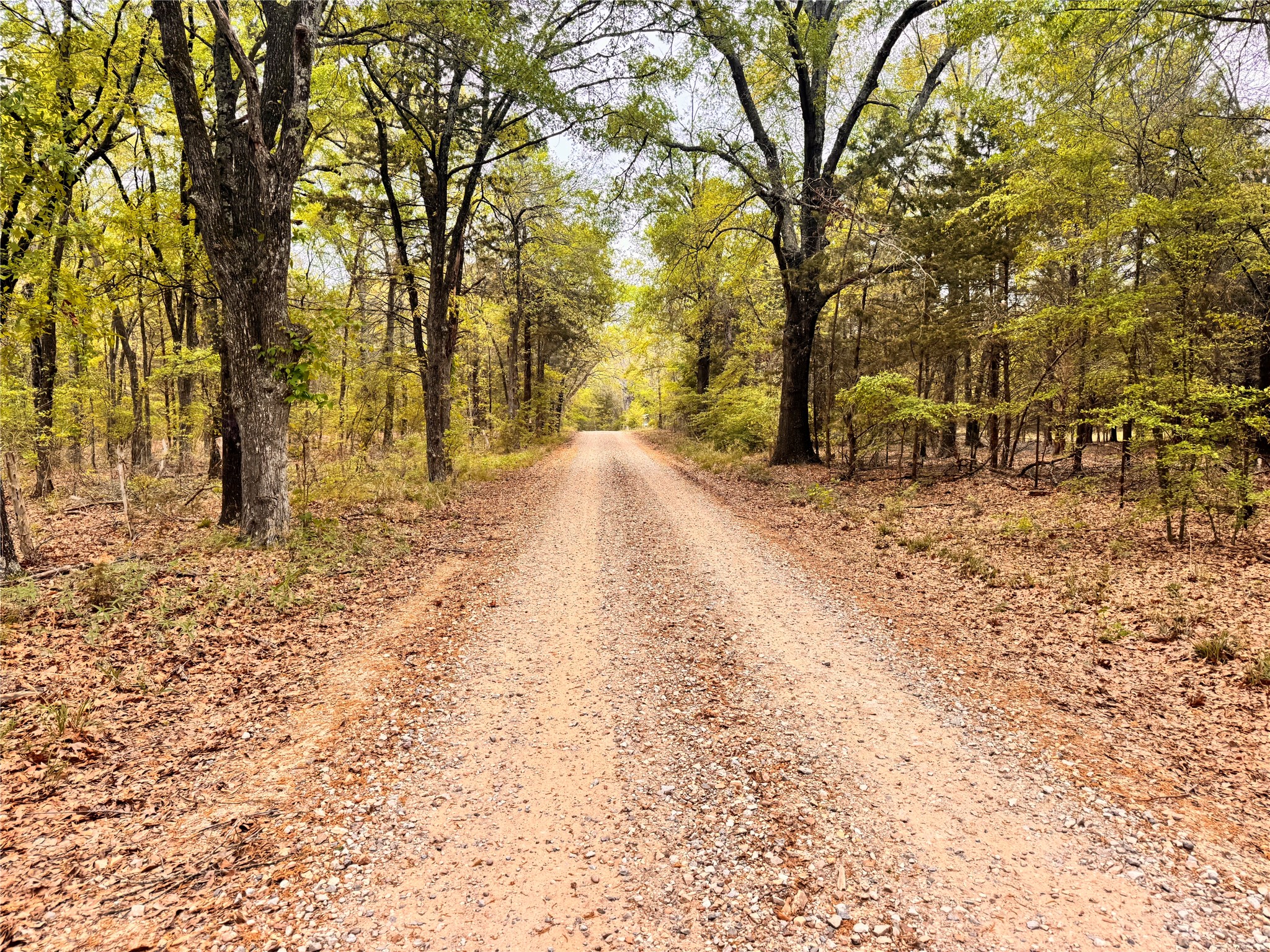656 County Road 2680 Bonham TX 75418