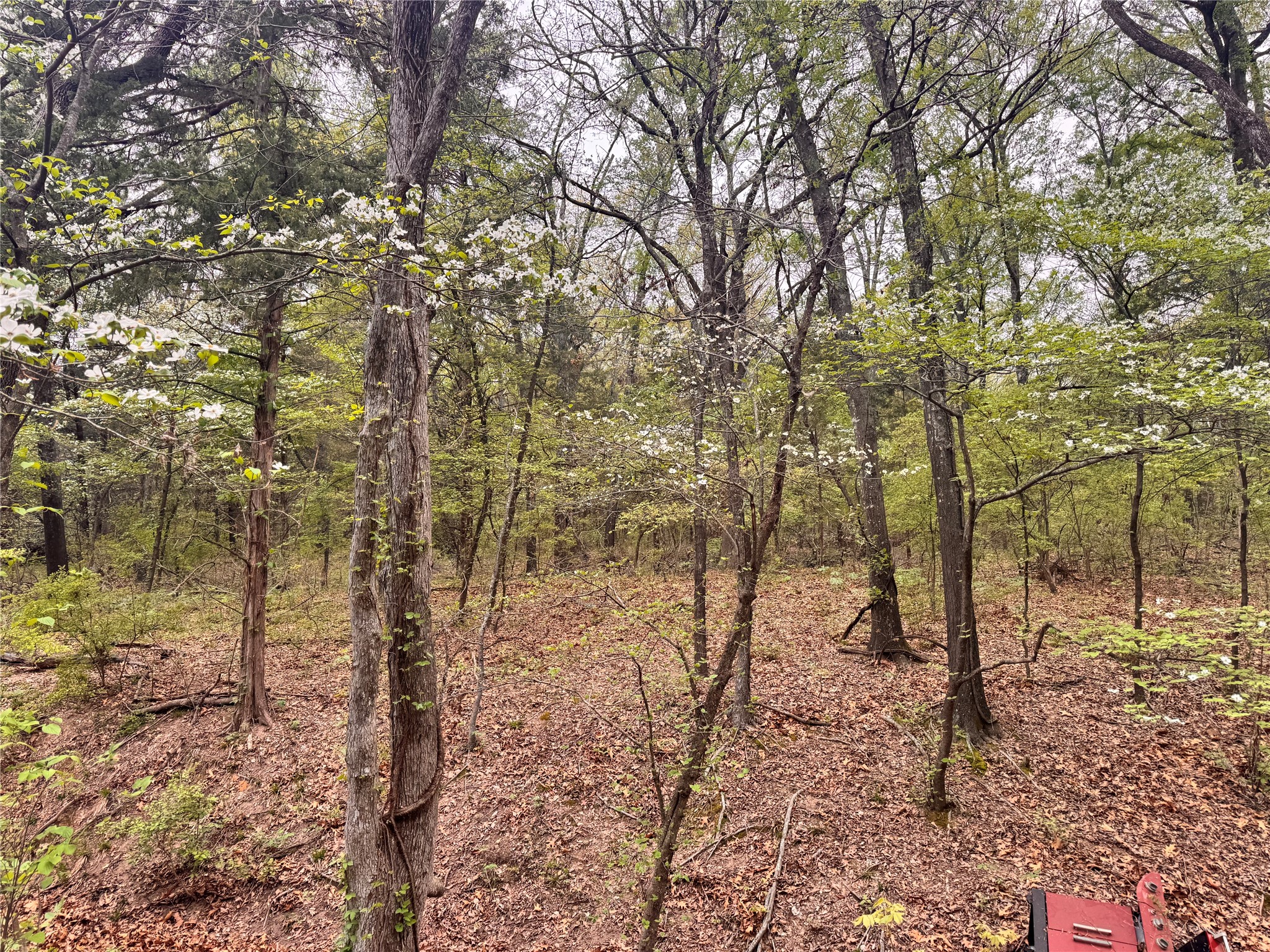 656 County Road 2680 Bonham TX 75418