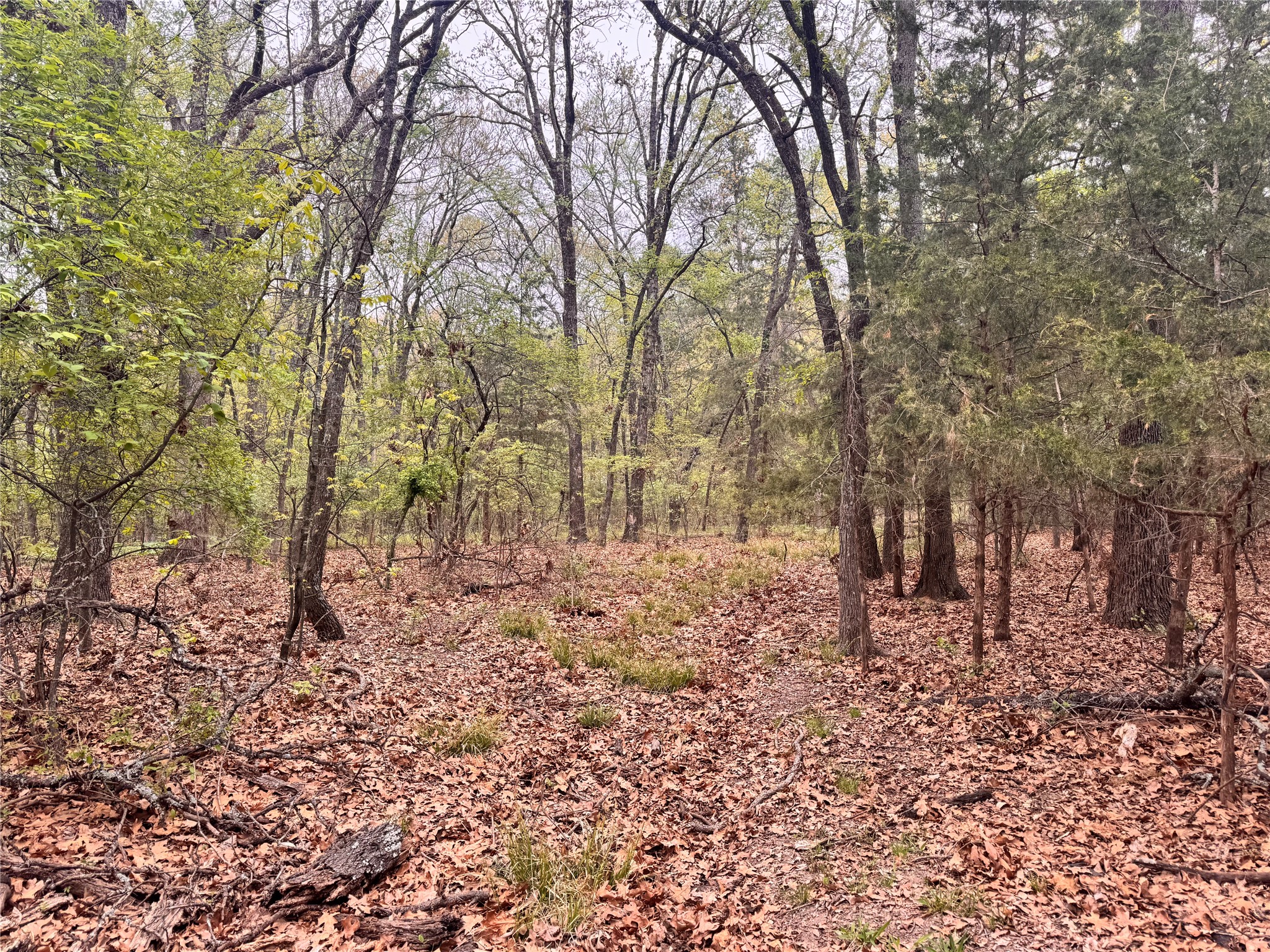 656 County Road 2680 Bonham TX 75418