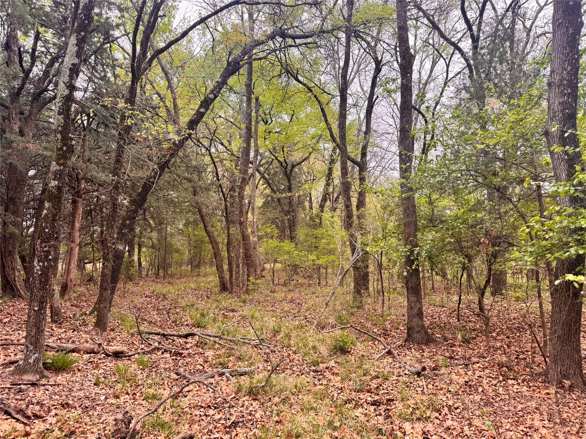 656 County Road 2680 Bonham TX 75418