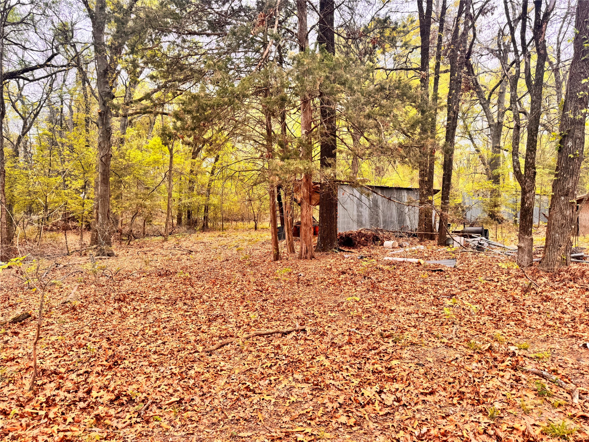 656 County Road 2680 Bonham TX 75418