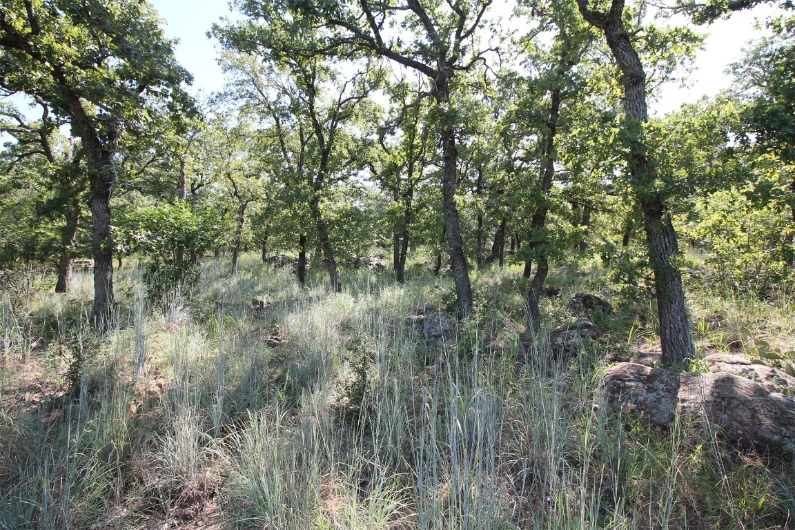 Lot 265 Ridgeline Drive Chico TX 76431