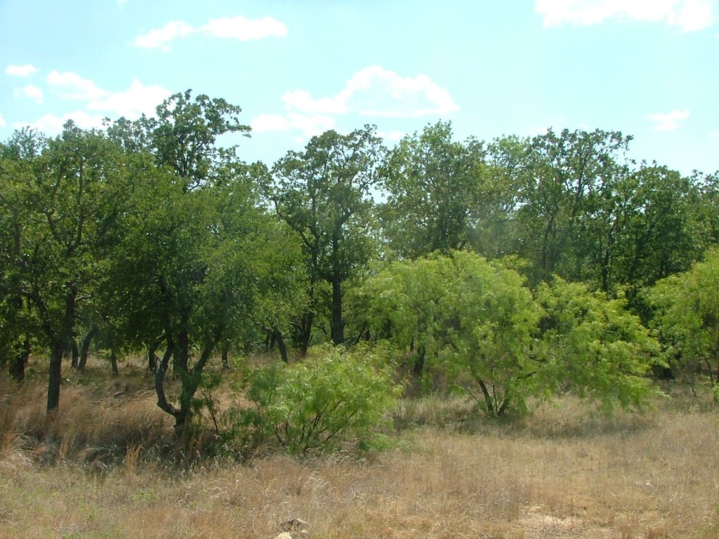 Lot 265 Ridgeline Drive Chico TX 76431