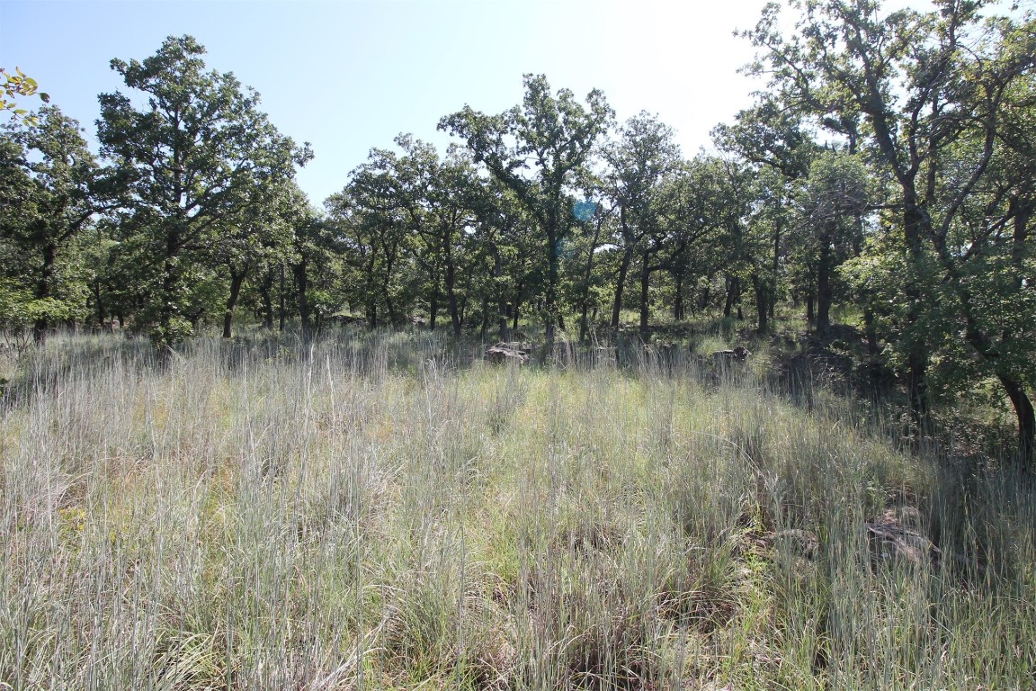 Lot 265 Ridgeline Drive Chico TX 76431