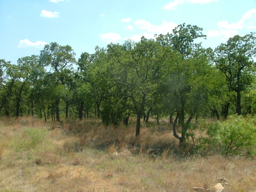 Lot 265 Ridgeline Drive Chico TX 76431