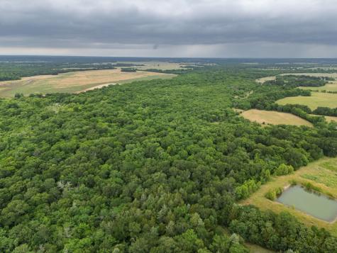 Tract 9 County Road 2158 Cooper TX 75432