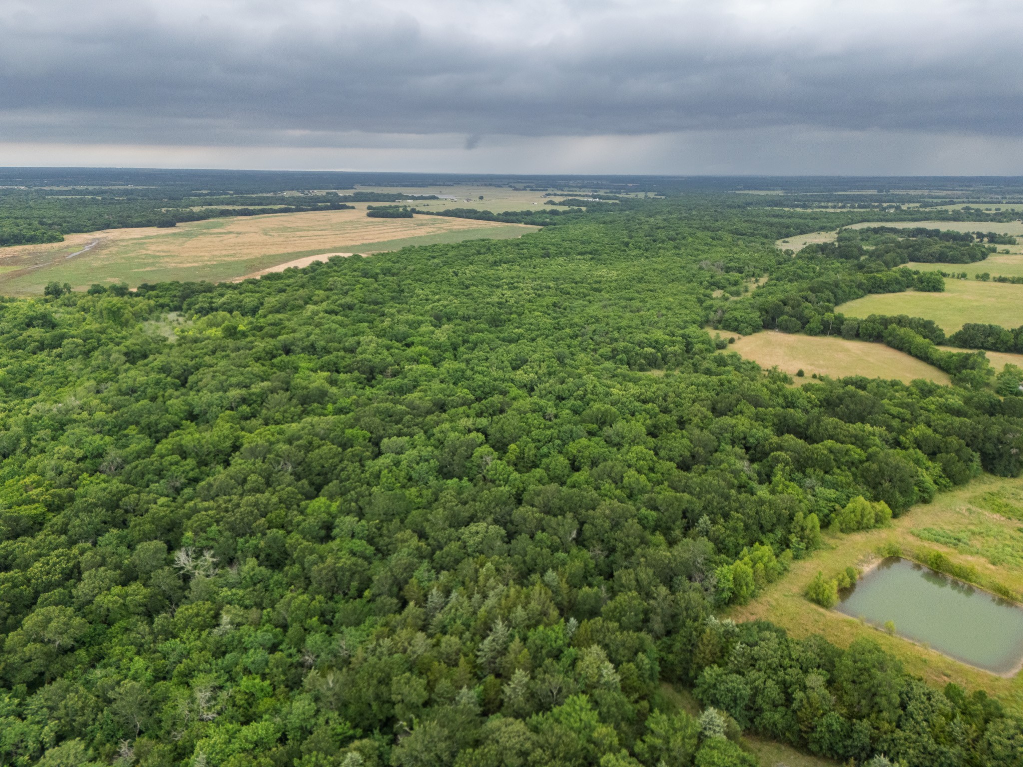 Tract 9 County Road 2158 Cooper TX 75432