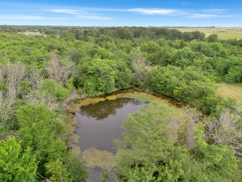 Tract 9 County Road 2158 Cooper TX 75432