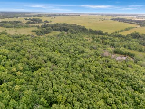 Tract 9 County Road 2158 Cooper TX 75432