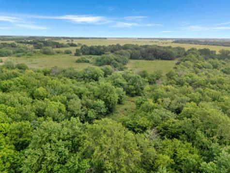 Tract 9 County Road 2158 Cooper TX 75432