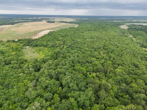 Tract 9 County Road 2158 Cooper TX 75432