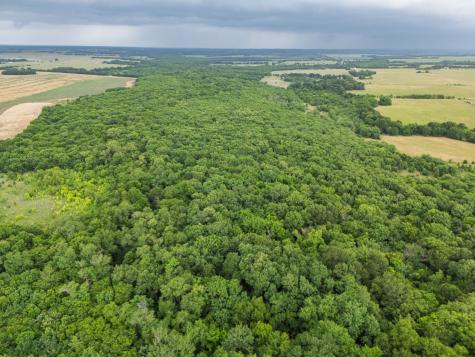 Tract 9 County Road 2158 Cooper TX 75432