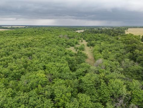 Tract 9 County Road 2158 Cooper TX 75432