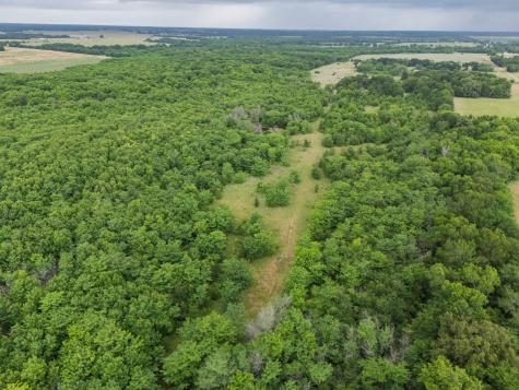 Tract 9 County Road 2158 Cooper TX 75432