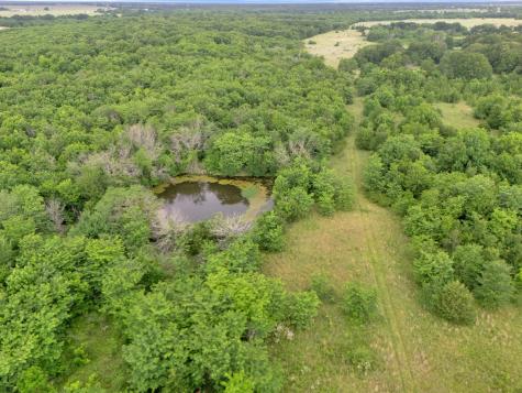 Tract 9 County Road 2158 Cooper TX 75432