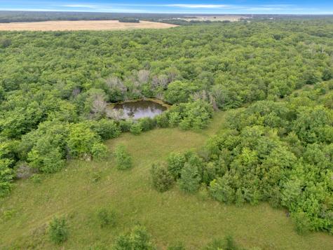 Tract 9 County Road 2158 Cooper TX 75432