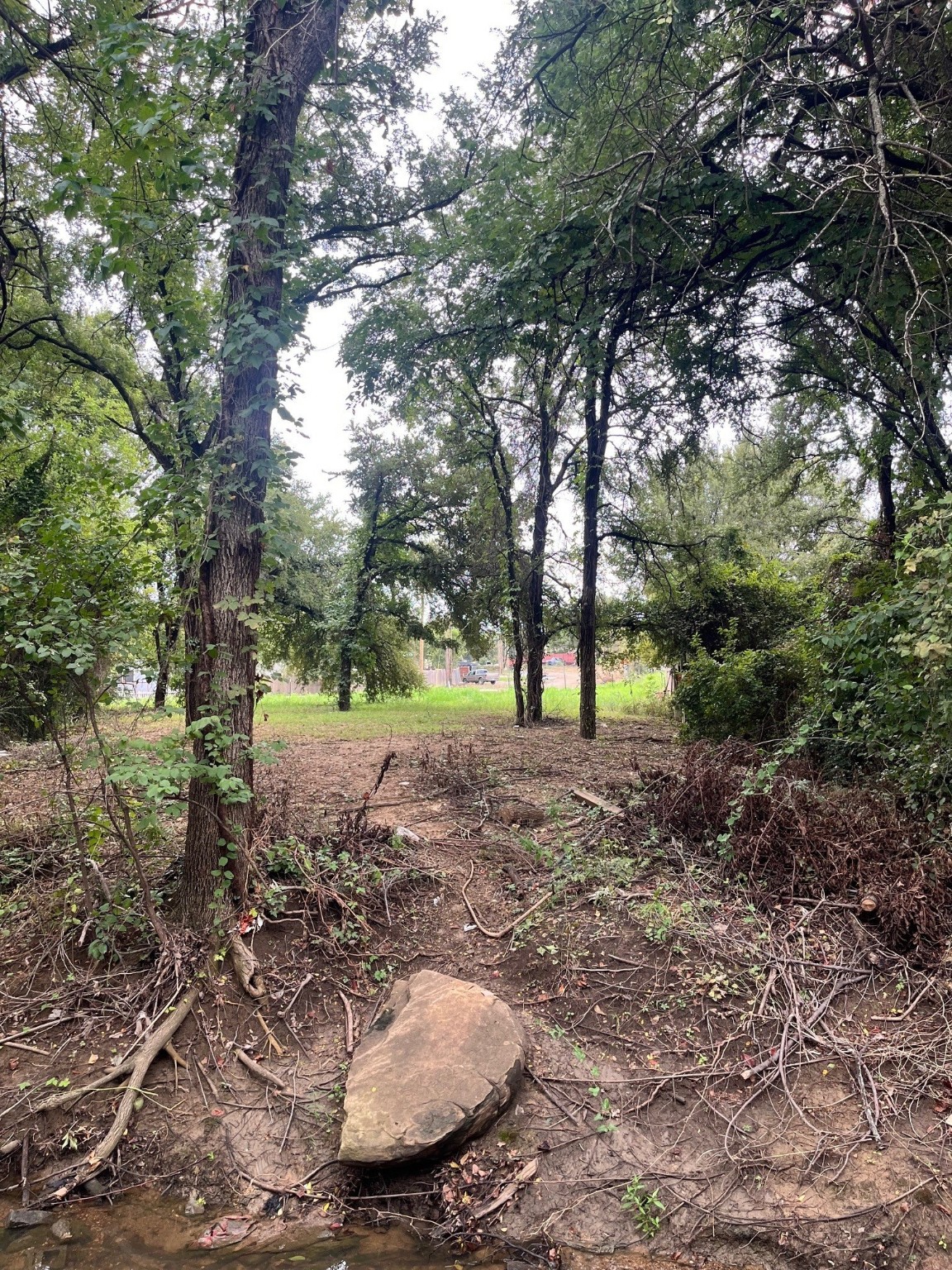 Tbd Cedar Lane Little Elm TX 75068