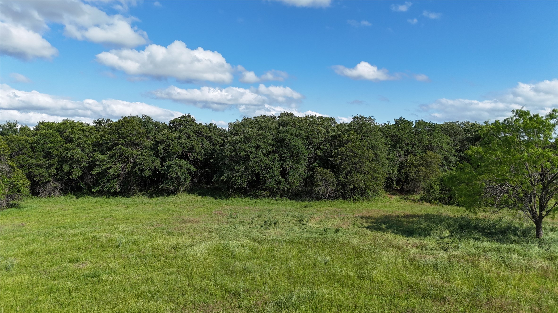 Tbd Trail 8 Cr482 Stephenville TX 76401