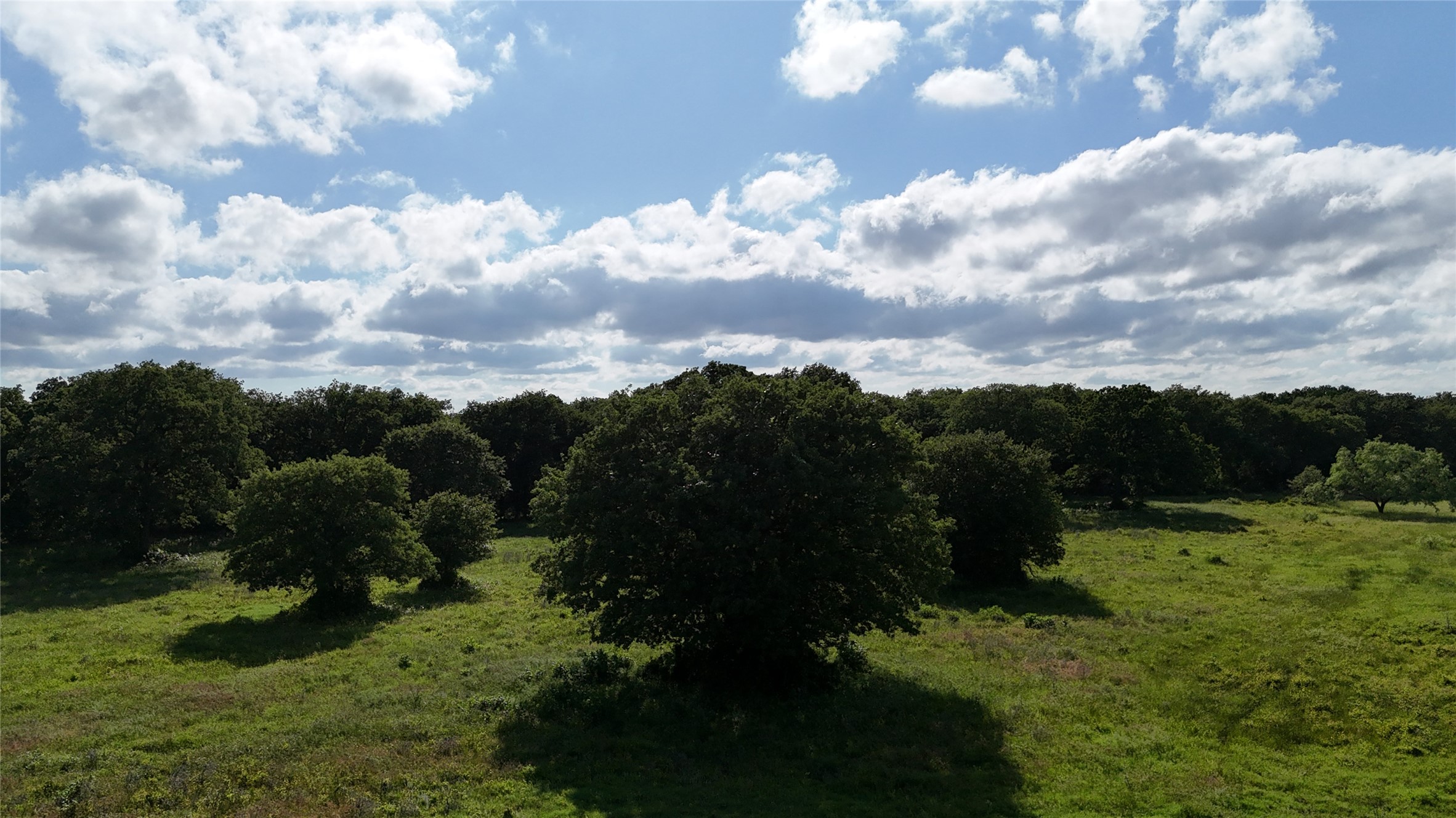 Tbd Trail 8 Cr482 Stephenville TX 76401