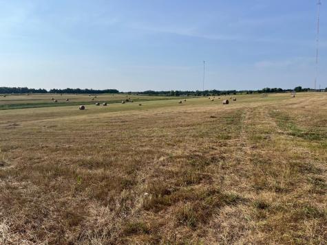 17560 E Fm 1396 Windom TX 75492