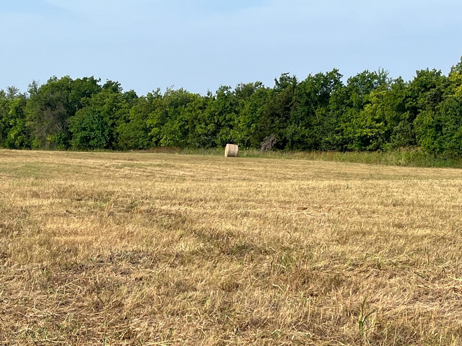 17560 E Fm 1396 Windom TX 75492