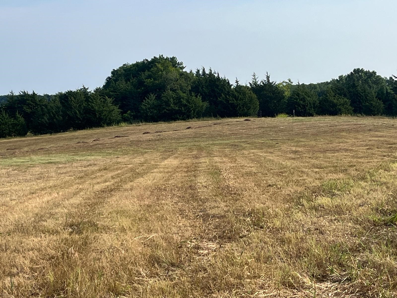 17560 E Fm 1396 Windom TX 75492