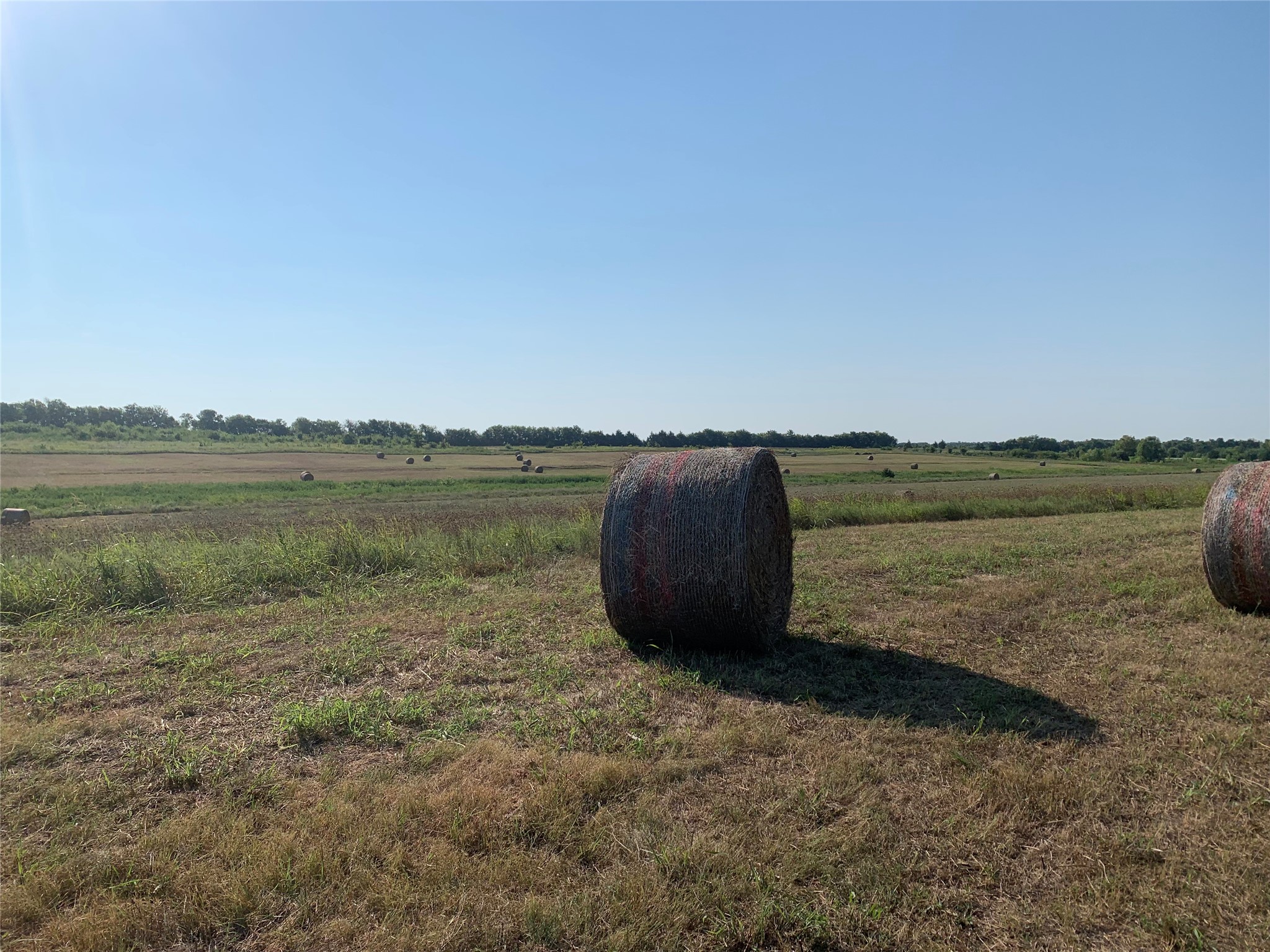17560 E Fm 1396 Windom TX 75492