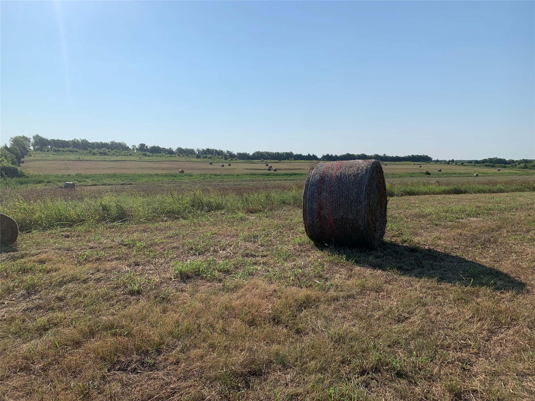 17560 E Fm 1396 Windom TX 75492