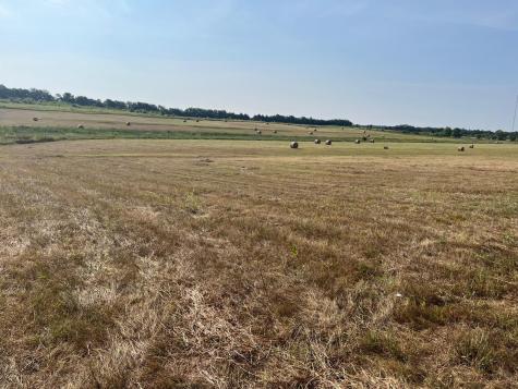 17560 E Fm 1396 Windom TX 75492