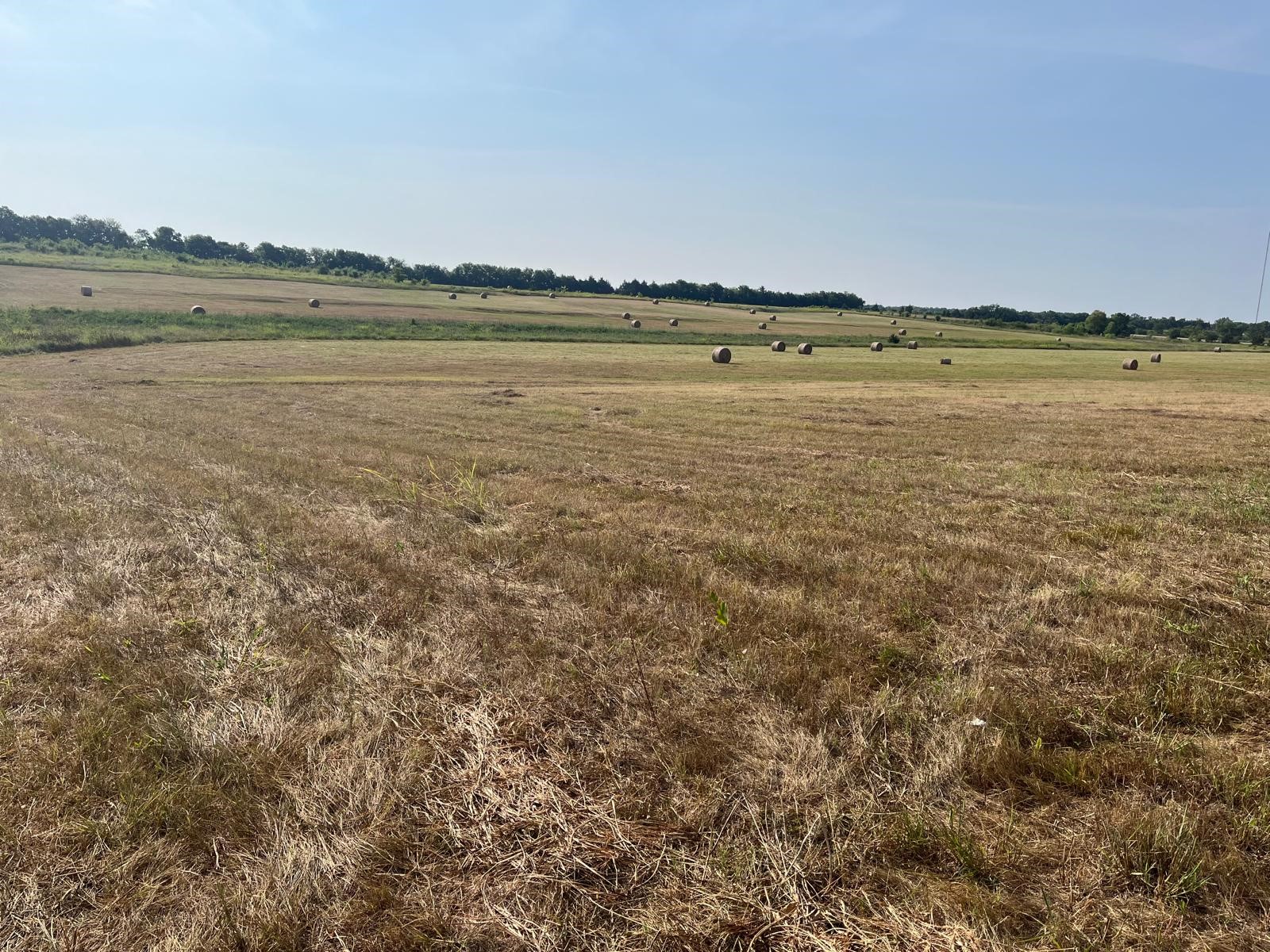 17560 E Fm 1396 Windom TX 75492