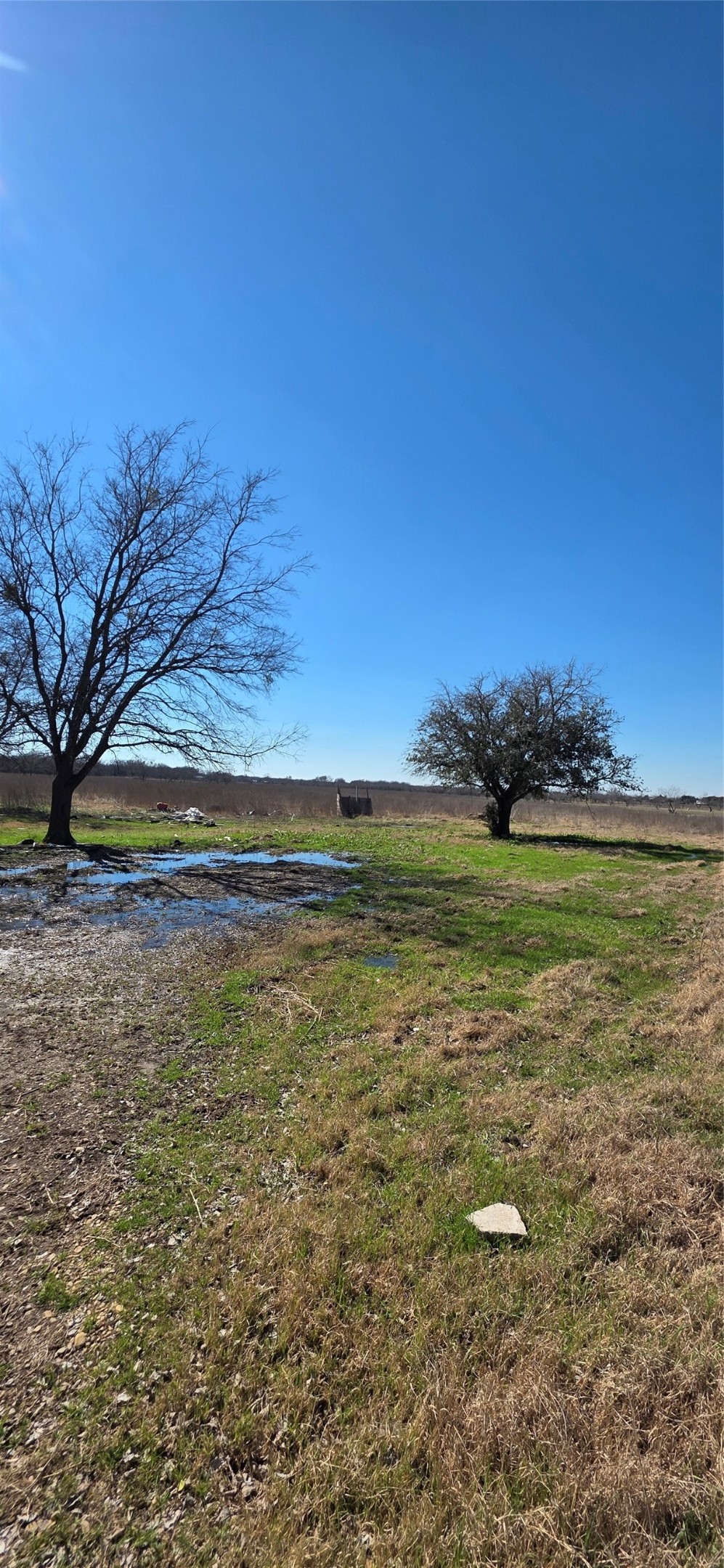 6305 NW County Road 1120 Corsicana TX 75110