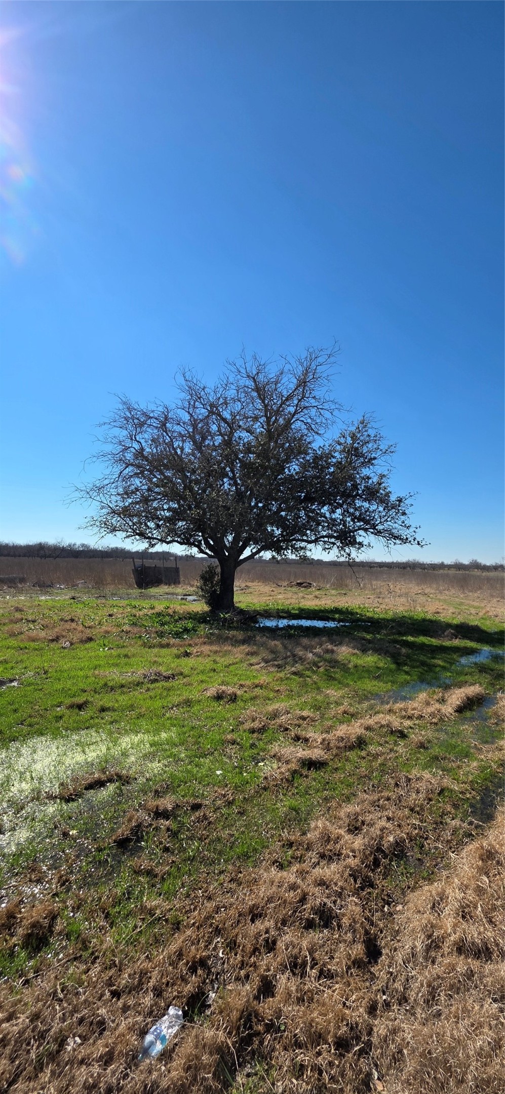 6305 NW County Road 1120 Corsicana TX 75110