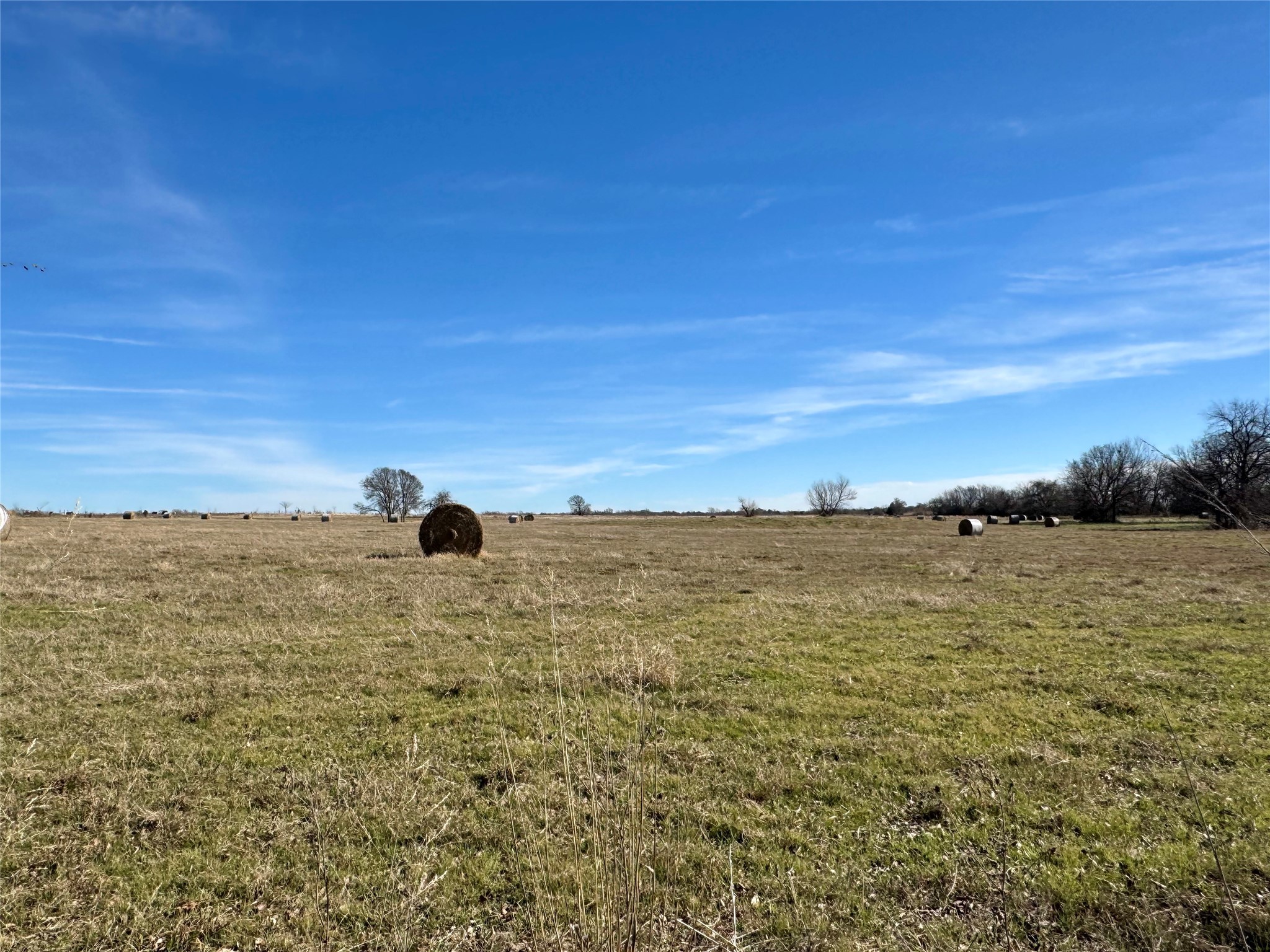 Tbd County Road 1043 Celeste TX 75423