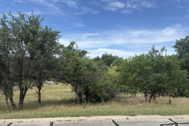 42024 Preston Trail Whitney TX 76692