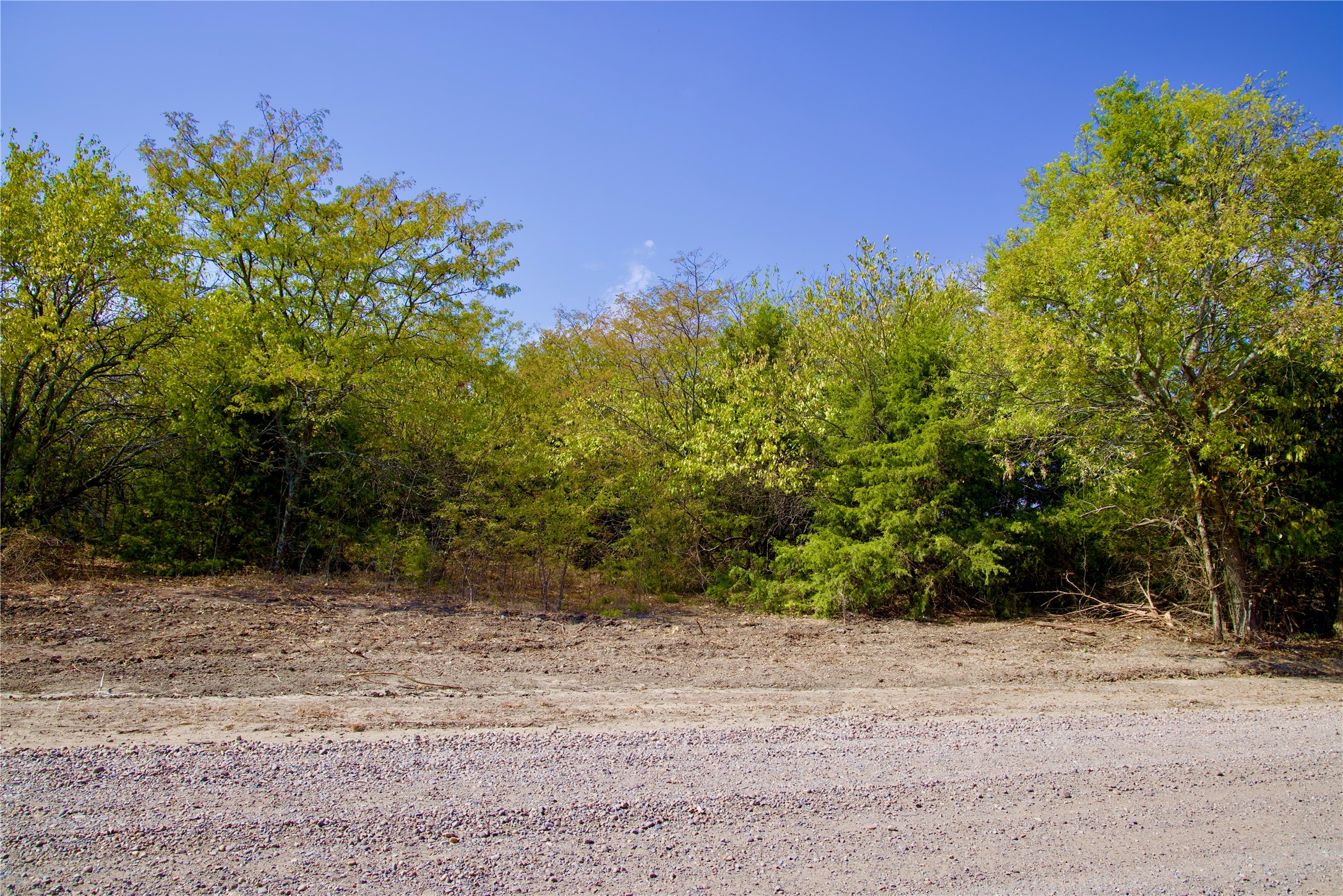 Tract 1 County Road 2935 Dodd City TX 75438