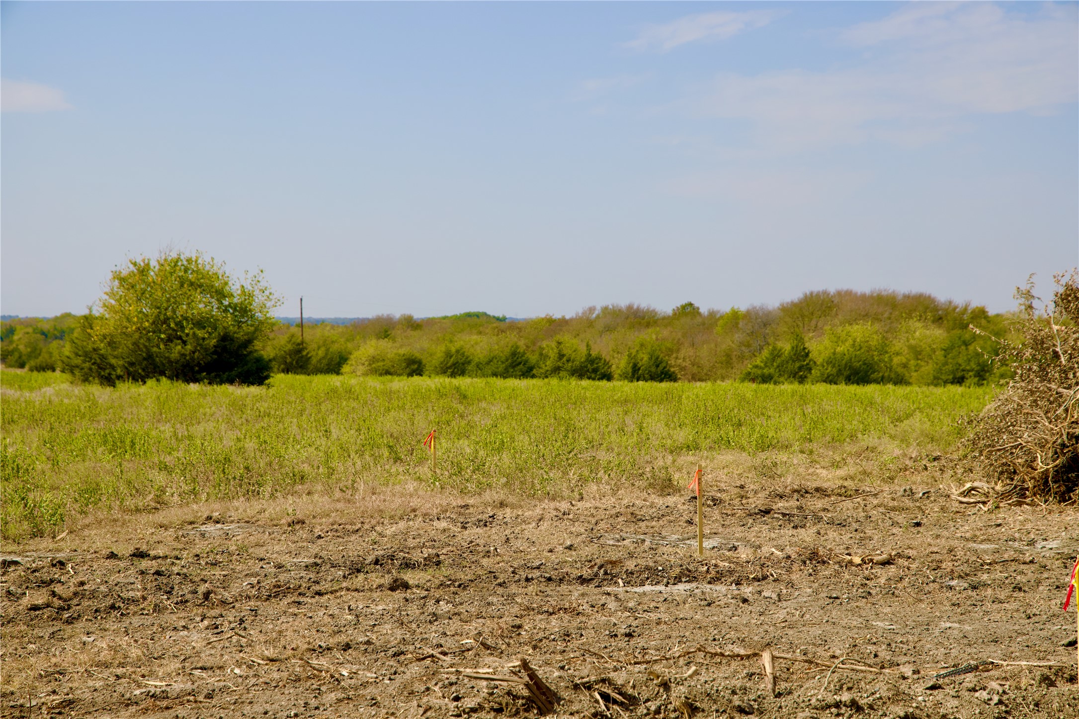 Tract 1 County Road 2935 Dodd City TX 75438