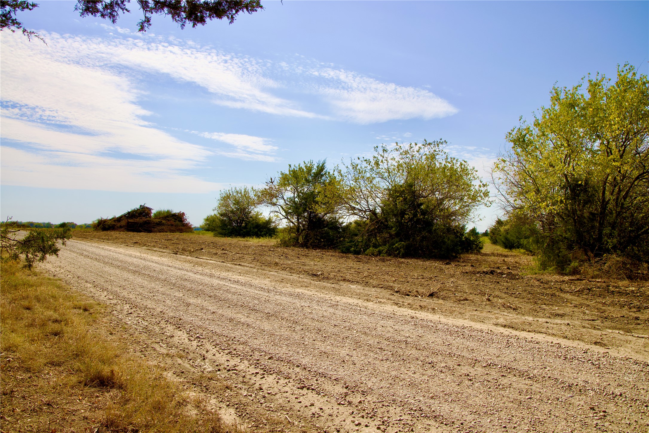 Tract 1 County Road 2935 Dodd City TX 75438