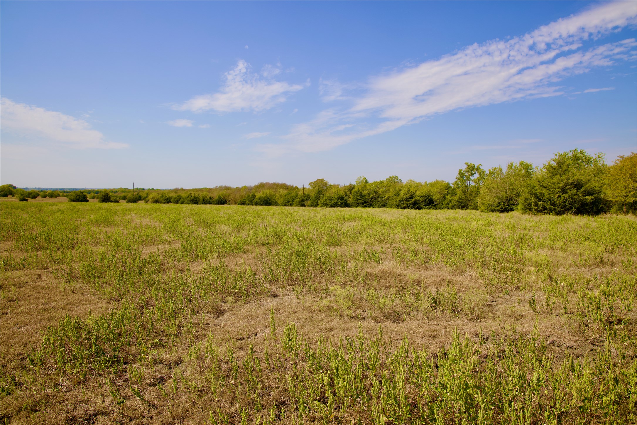 Tract 1 County Road 2935 Dodd City TX 75438