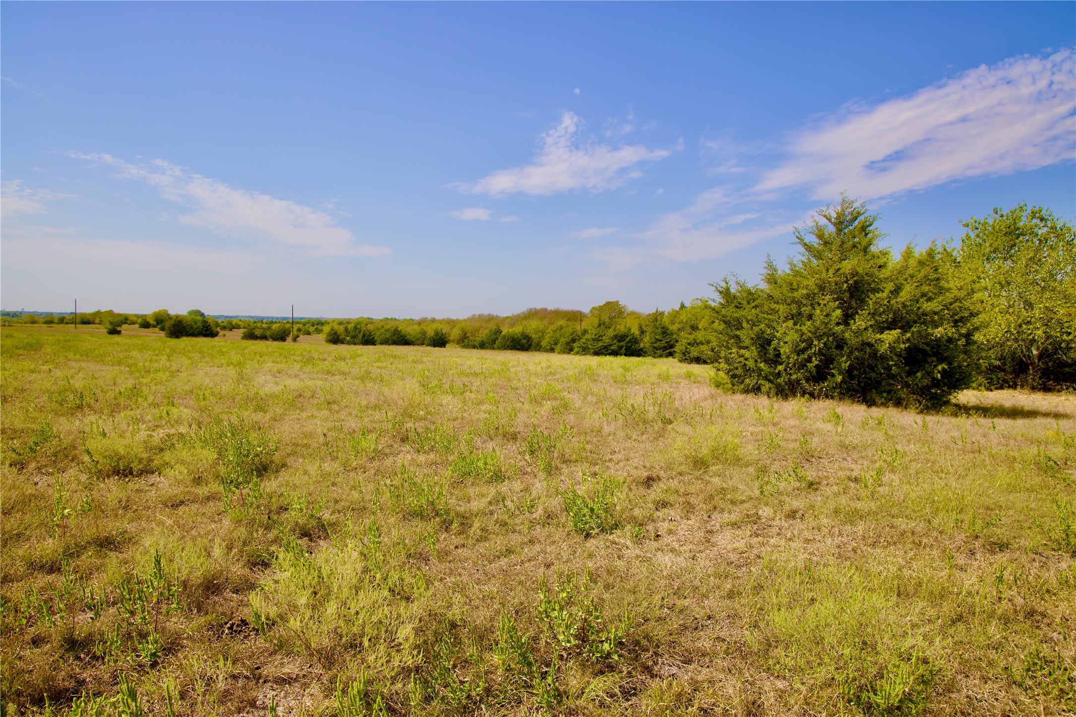 Tract 1 County Road 2935 Dodd City TX 75438