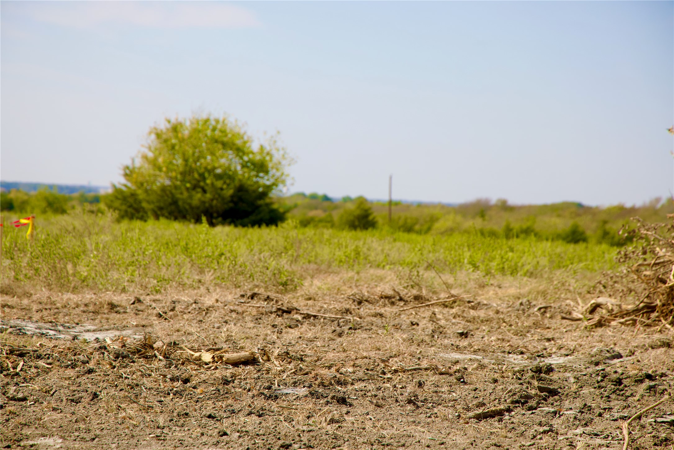 Tract 1 County Road 2935 Dodd City TX 75438