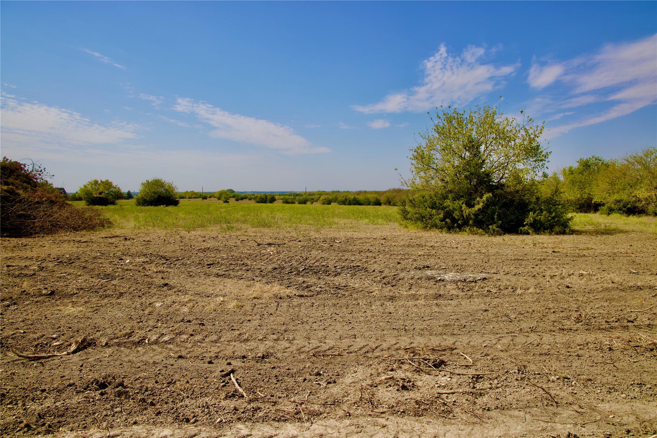 Tract 1 County Road 2935 Dodd City TX 75438