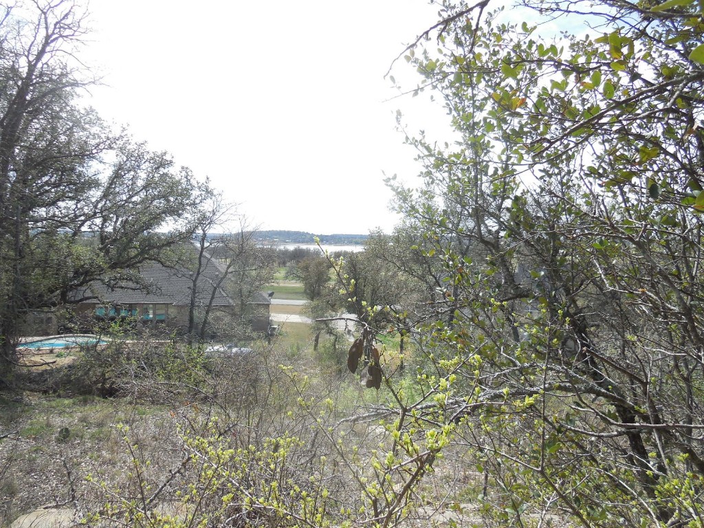 Lot 3-4 Southview Lane Eastland TX 76448