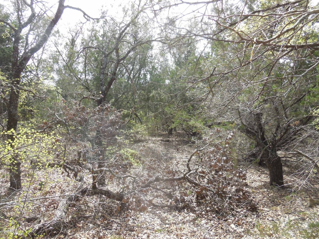 Lot 3-4 Southview Lane Eastland TX 76448