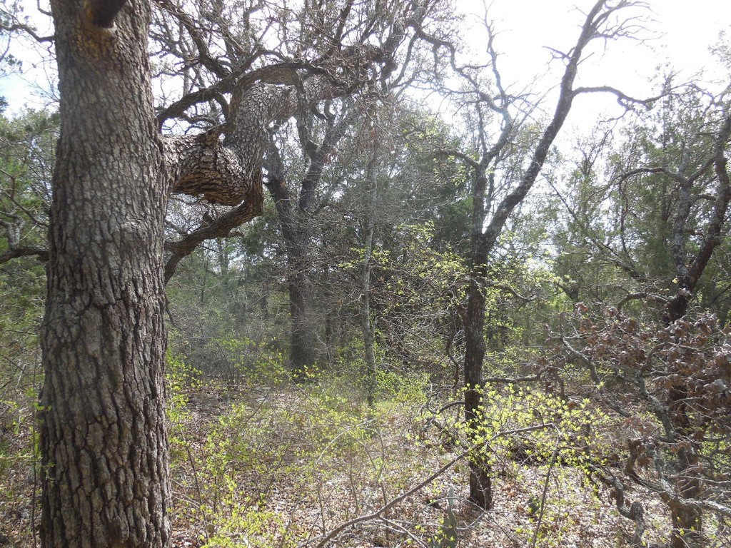 Lot 3-4 Southview Lane Eastland TX 76448