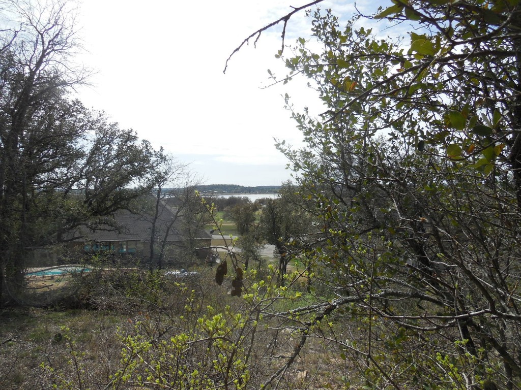 Lot 3-4 Southview Lane Eastland TX 76448